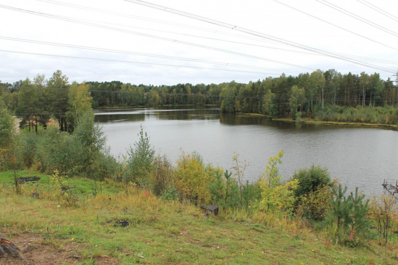 В Ленинградской области чуть не потеряли целое озеро